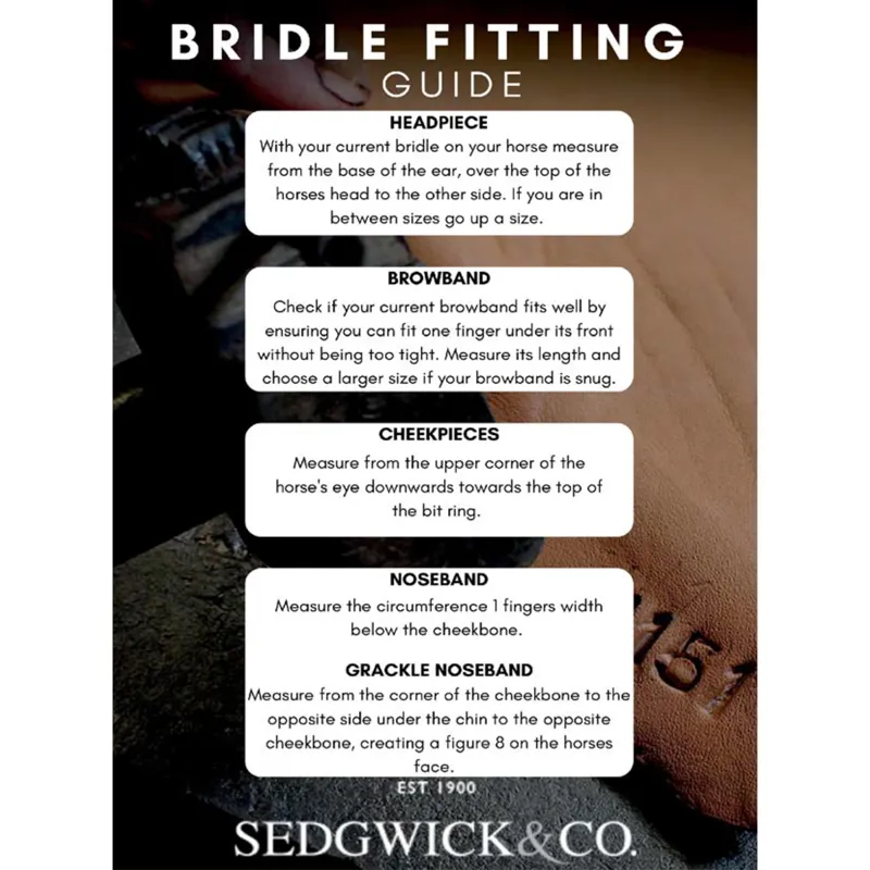 Henry James Bridle Fitting Tape Measure-2